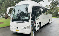 BCI LARGE (30-55 tourists) for private tours in sydney 