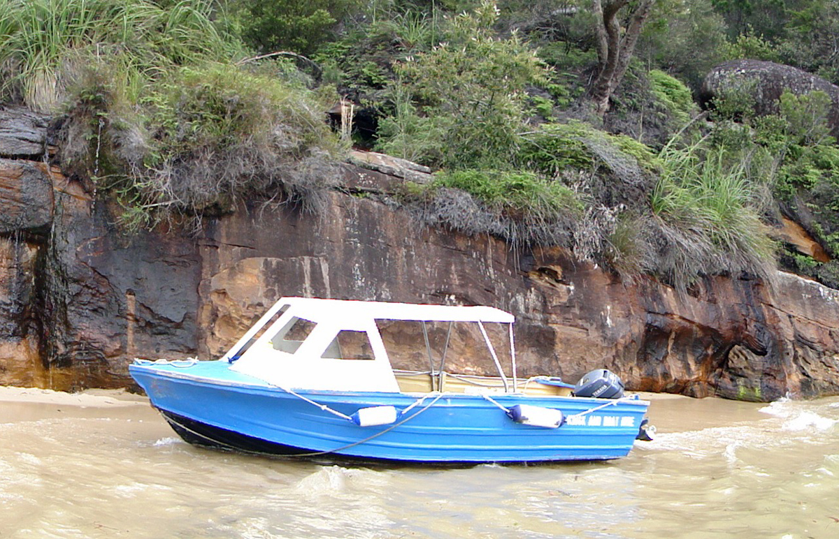 Ku-ring-gai Chase NP and Palm Beach Private Tour