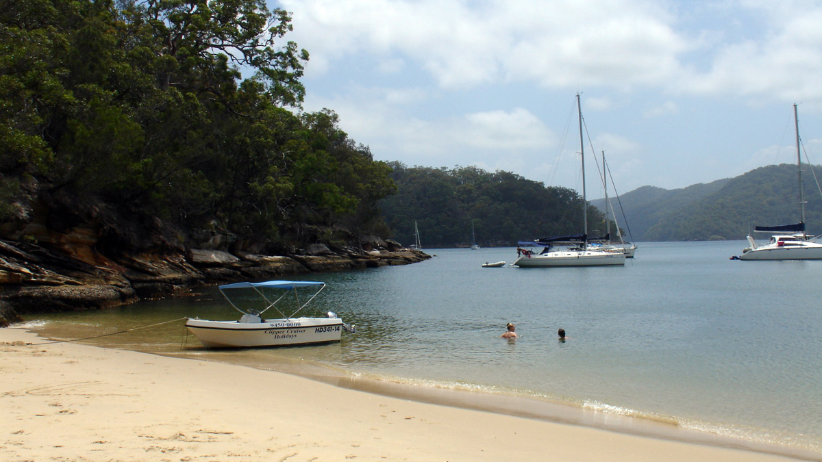 Ku-ring-gai Chase NP and Palm Beach Private Tour