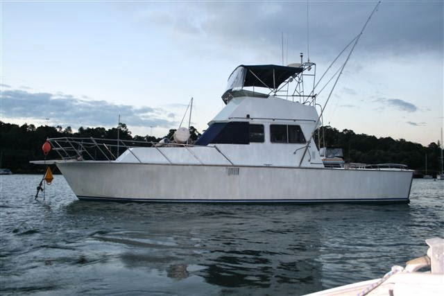 Sydney Deep Sea Private Game Fishing
