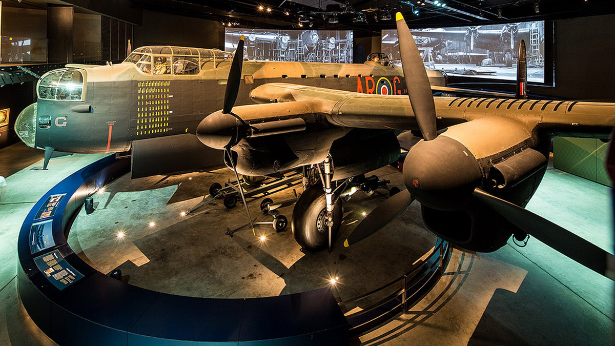 Подвесной мост в дождевом лесу Minnamurra