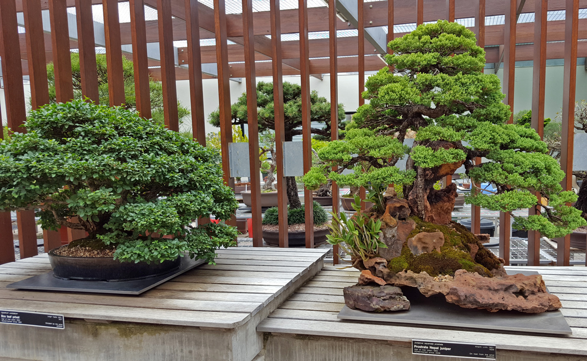 Красивый закат над побережьем у Batemans Bay