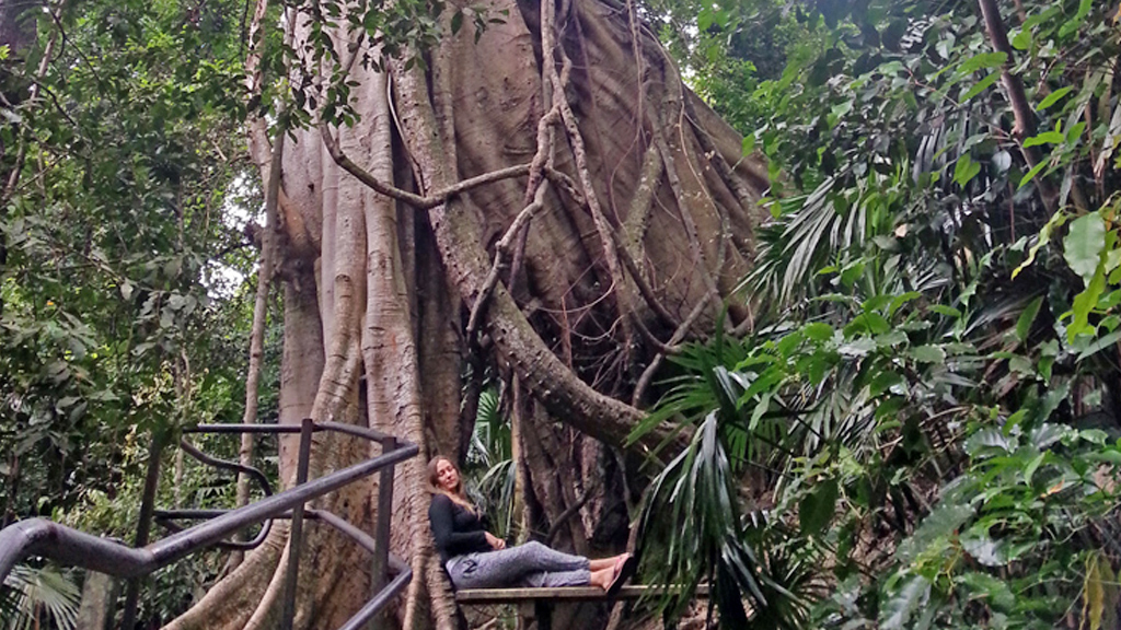 Тропа к вершине горы Костюшко