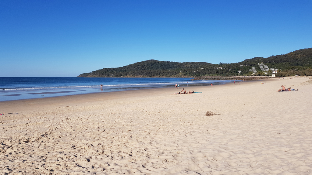 Зоопарк Dubbo — жирафы