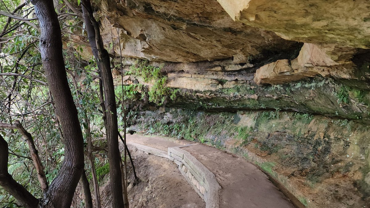 Песчаниковый карниз и тропа на маршруте Wentworth Falls