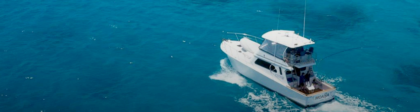 Океаническая рыбалка в Кэрнсе