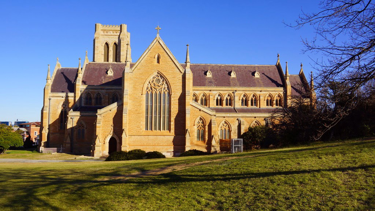 Альпийские полевые цветы вдоль тропы летом