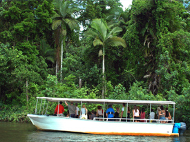 Daintree River Cruise