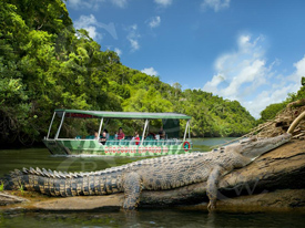 Daintree River Cruise