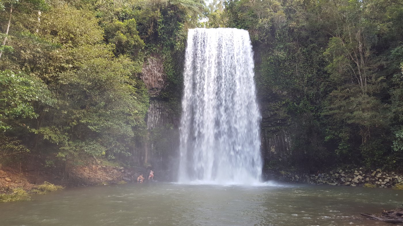 Водопад Мила-Мила Millaa Millaa Falls — классический пейзаж плоскогорья Атертон с туристами