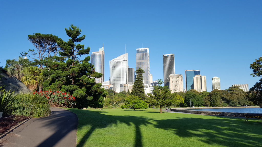 Sydney harbour Yacht Cruise