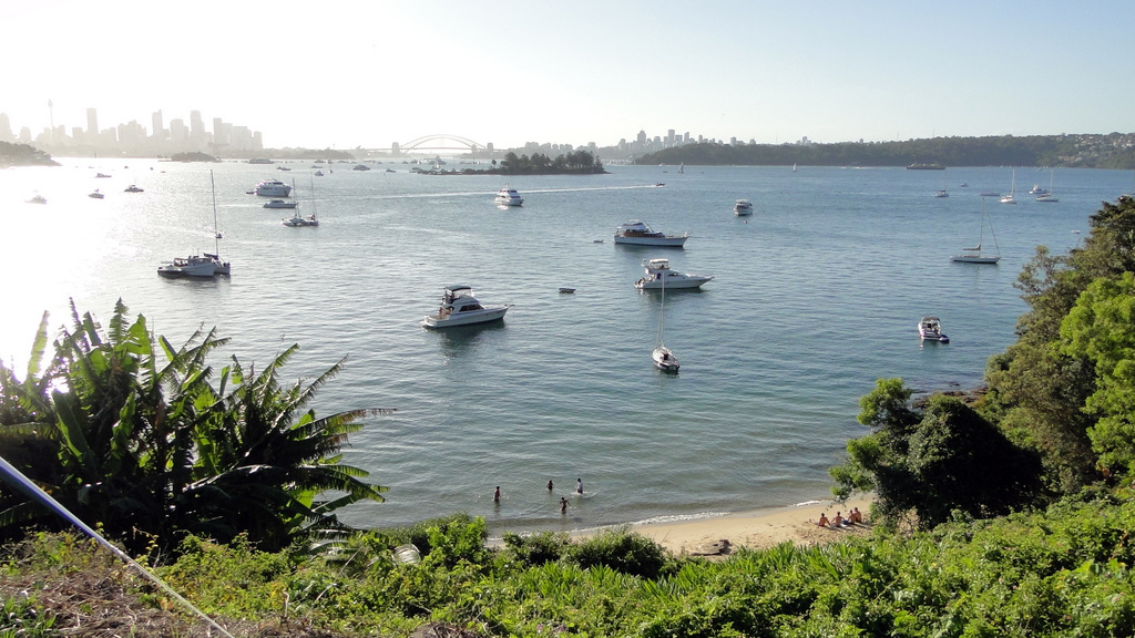 Sydney harbour Yacht Cruise