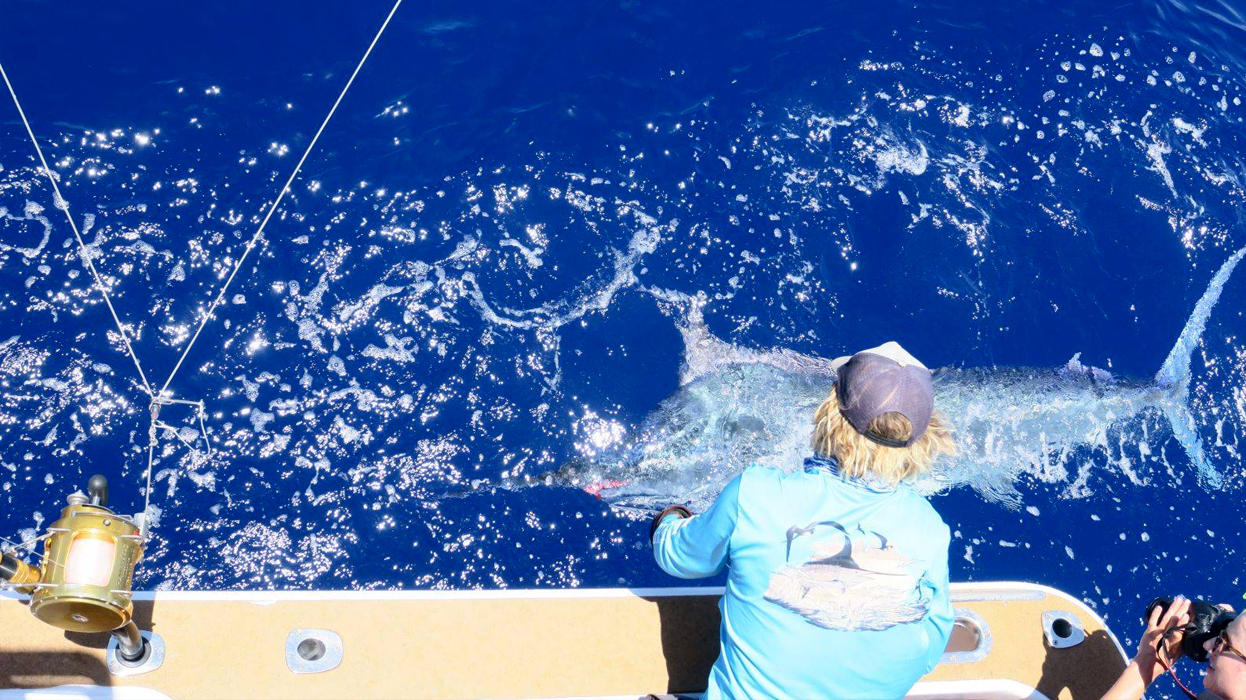 Ловля крупной рыбы