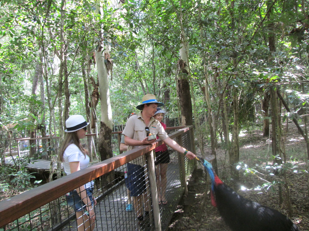 Wet Tropics and Crocodiles Private Tour