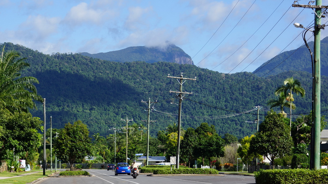 Wet Tropics and Crocodiles Private Tour