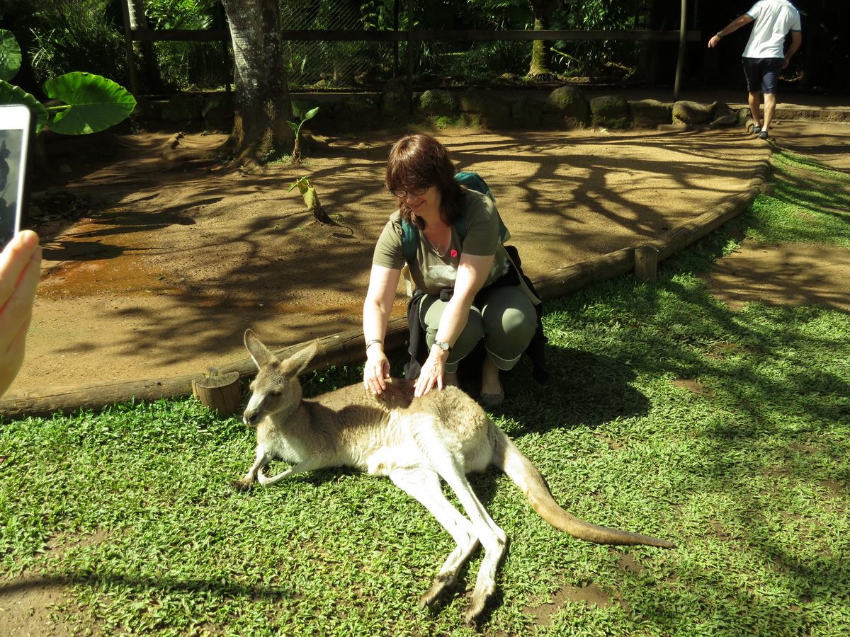 Kuranda Private Tour