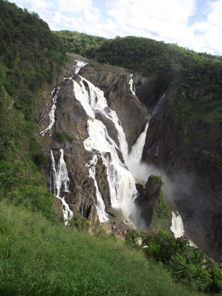 Kuranda Private Tour