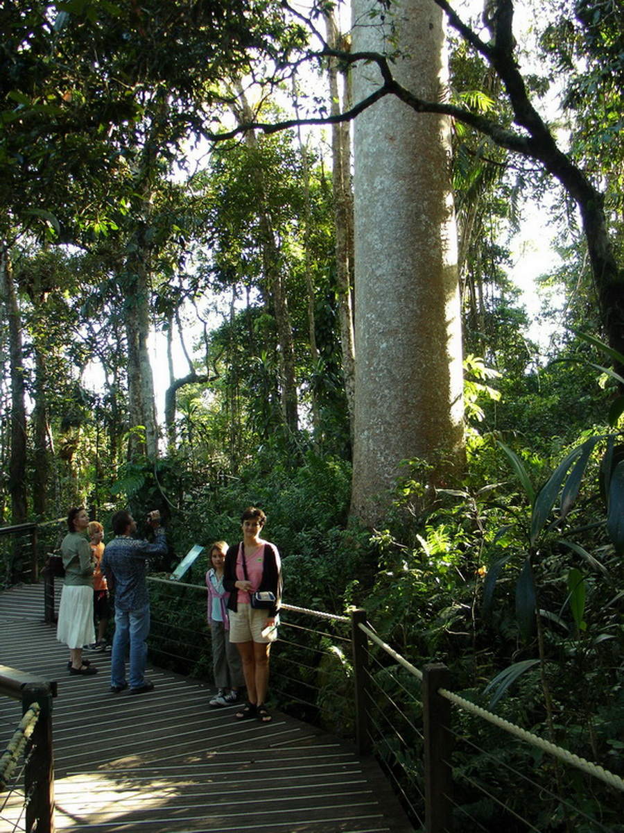 Kuranda Private Tour