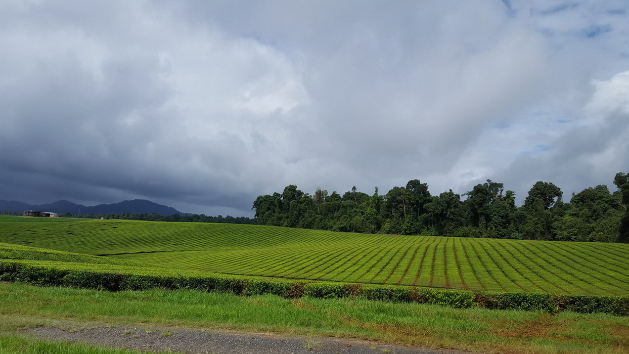 The Atheron Tablelands Private Tour