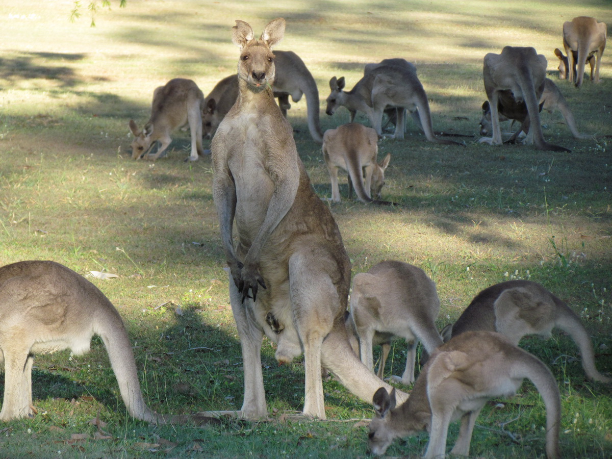 The Atheron Tablelands Private Tour