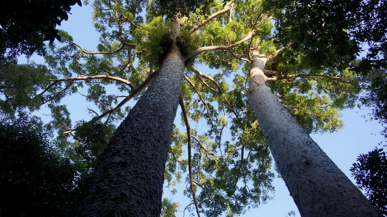 The Atheron Tablelands Private Tour