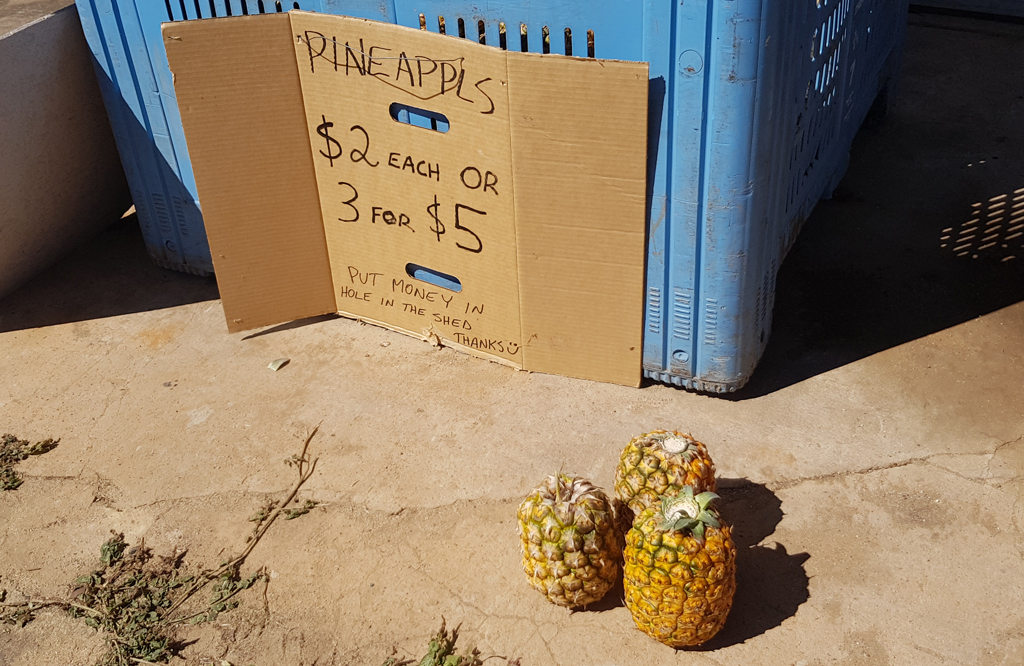 Спокойные воды Bribie Island