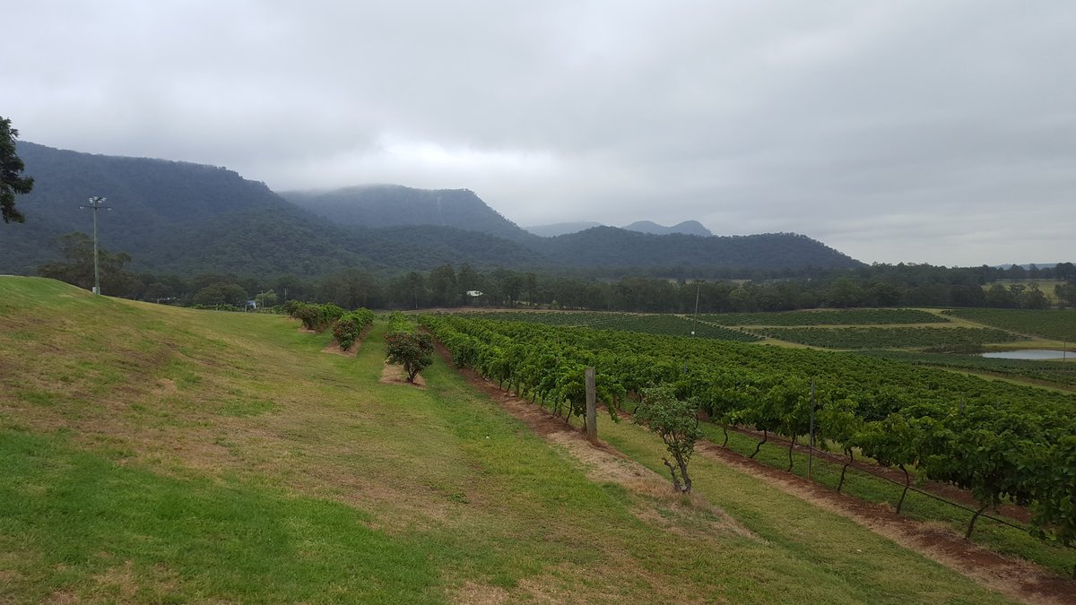 Hunter Valley — пейзажи винодельческого региона