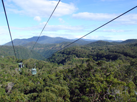 Skyrail Rainforest Cableway