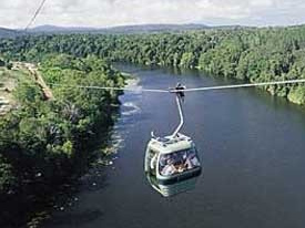 Skyrail Rainforest Cableway