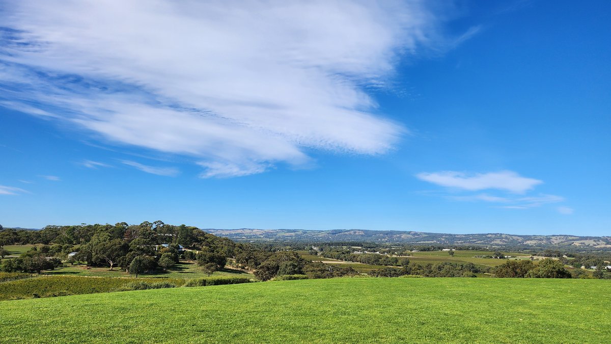 McLaren Vale: ресторан