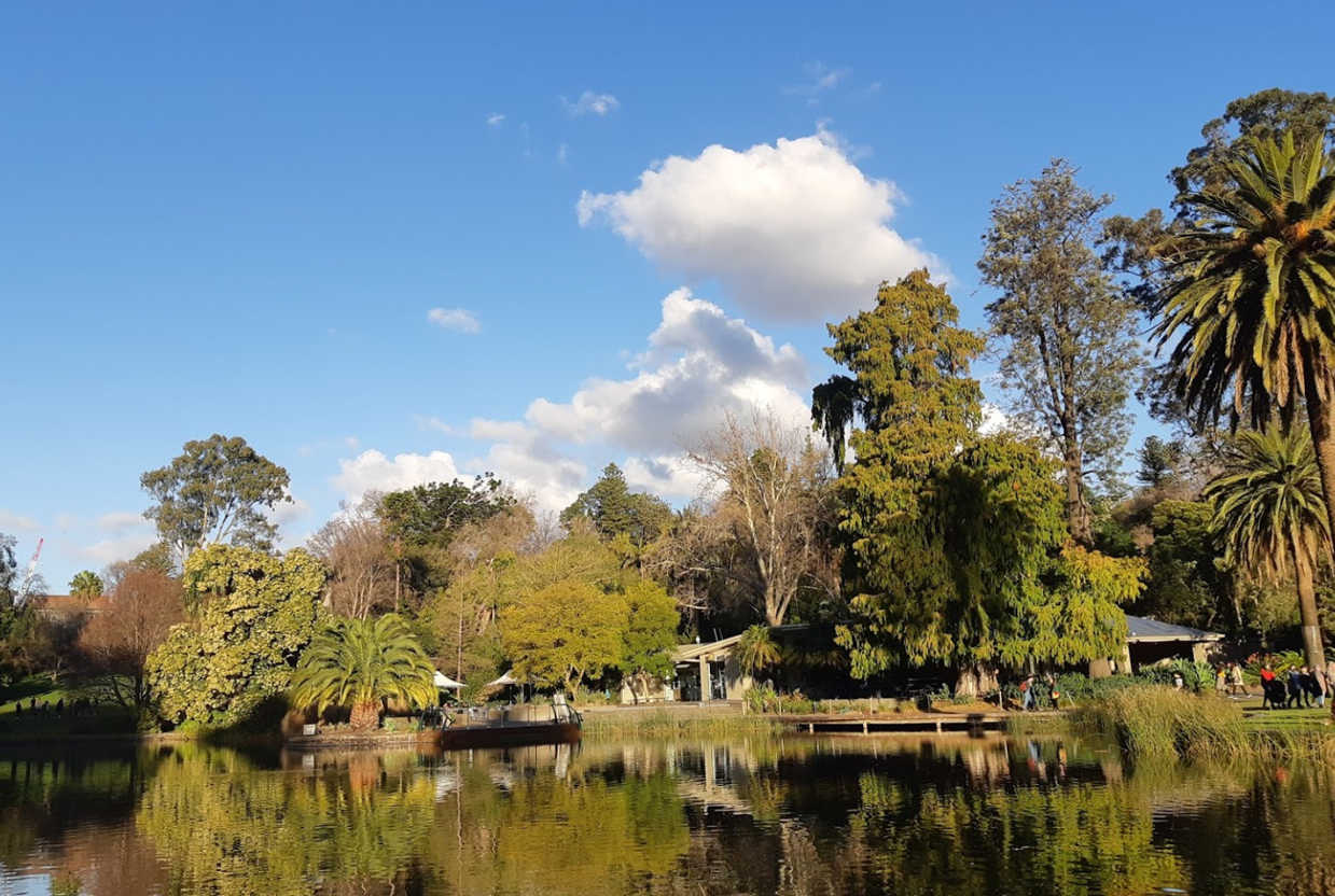 Melbourne Private City Sight Tour 