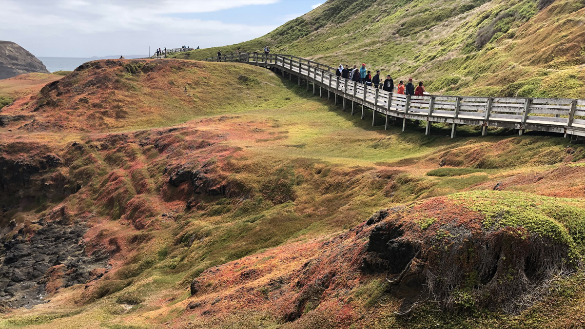 Phillip Island Private Tour with Penguin Parade Private Tour