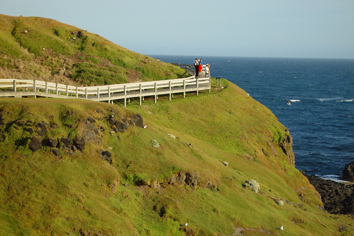 Phillip Island Private Tour with Penguin Parade Private Tour