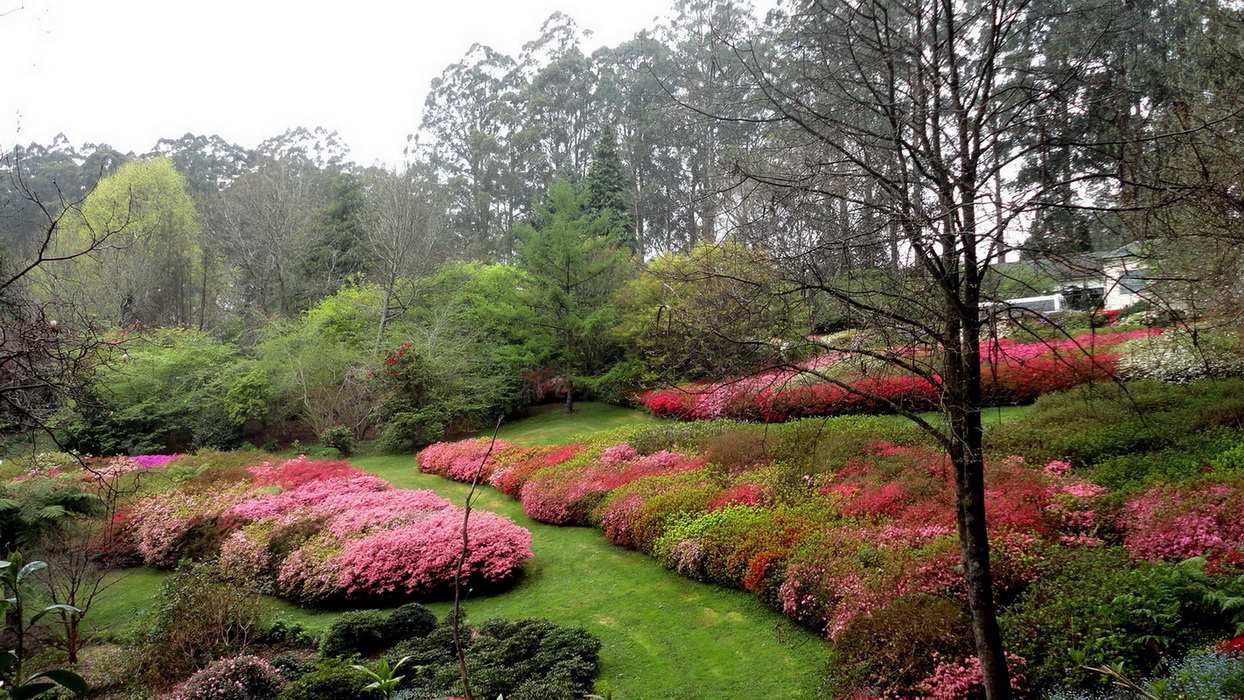 Puffing Billy Private Tour with Healesville zoo