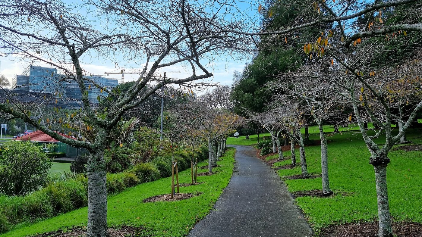 Auckland Domain и Военный музей