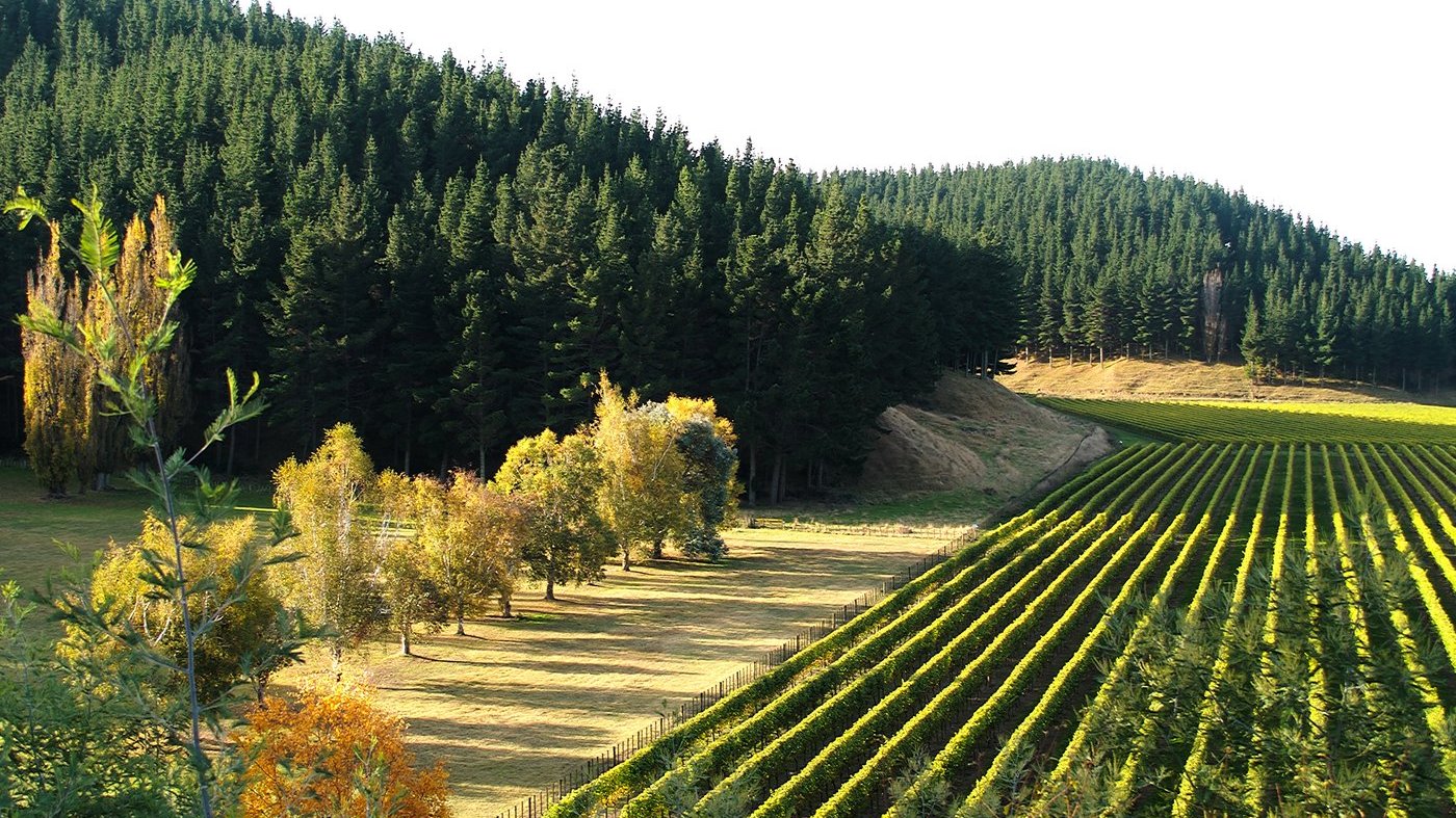 Mission Estate Winery в Нейпире — дегустация вин Hawkes Bay