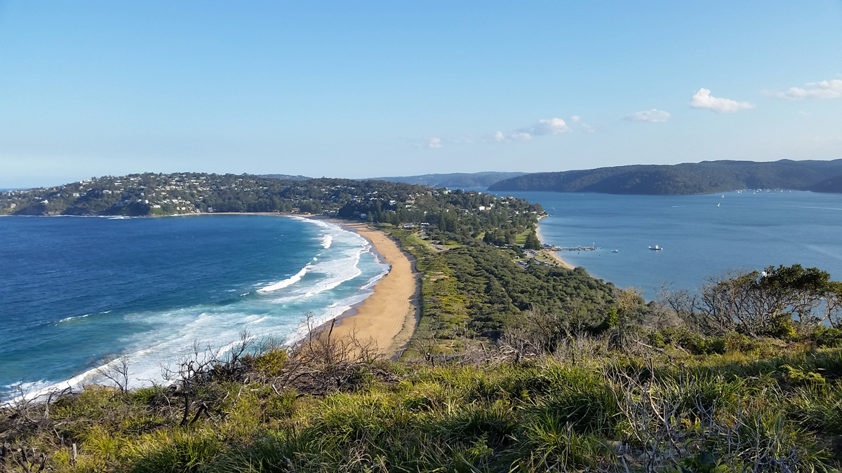 Ku-ring-gai Chase NP and Palm Beach Private Tour