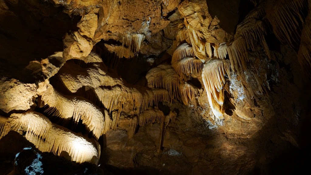 Blue Mountains and Jenolan Caves Private Tour