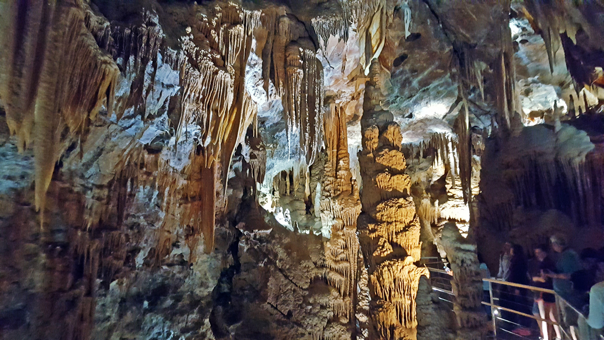 Blue Mountains and Jenolan Caves Private Tour