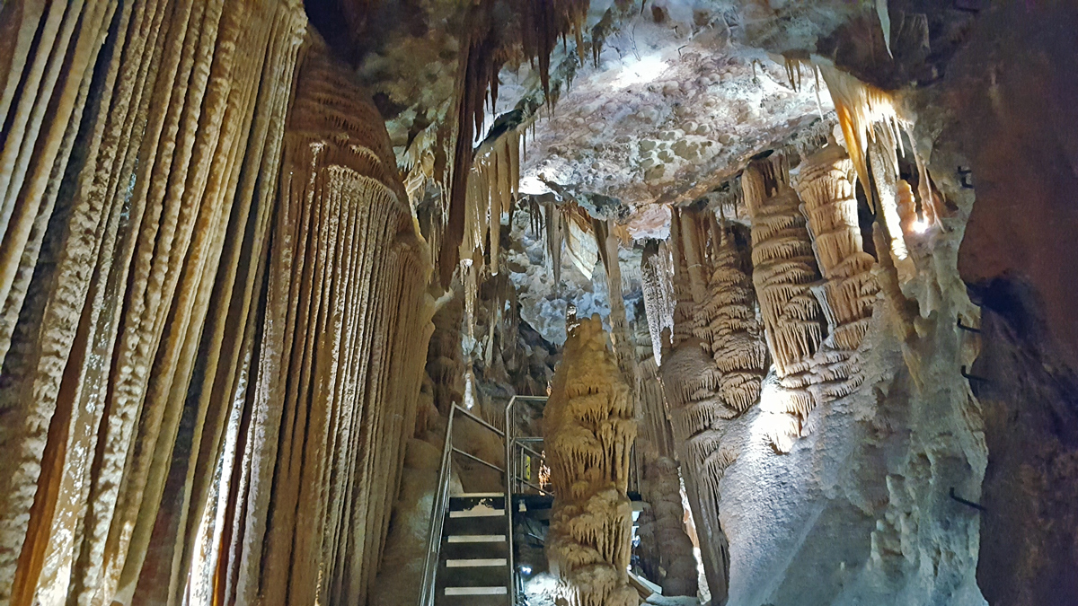 Blue Mountains and Jenolan Caves Private Tour