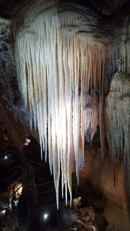 Blue Mountains and Jenolan Caves Private Tour