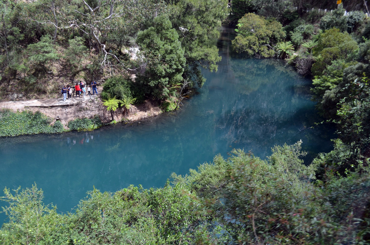 Blue Mountains and Jenolan Caves Private Tour