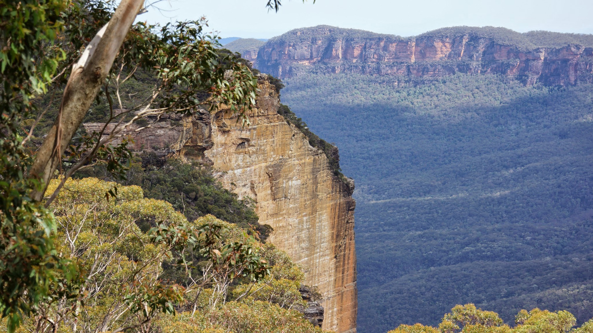 Blue Mountains and Jenolan Caves Private Tour