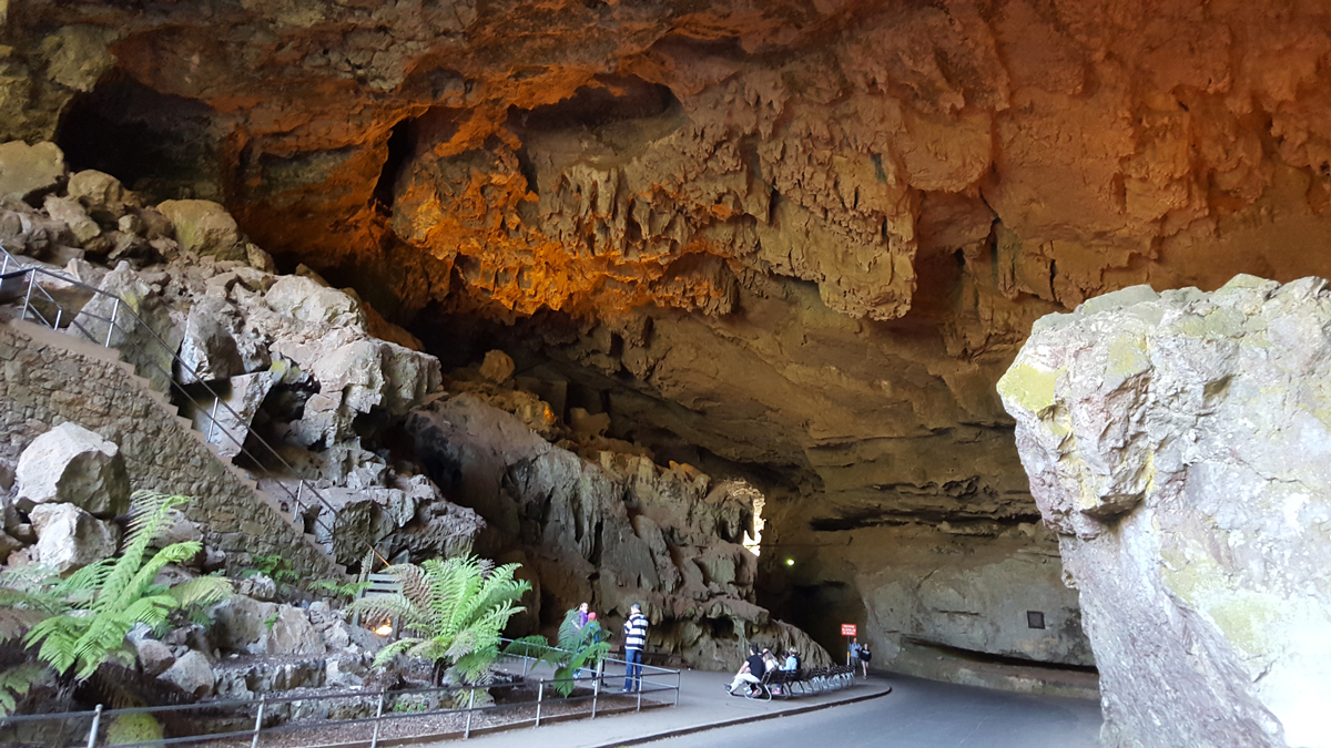 Blue Mountains and Jenolan Caves Private Tour