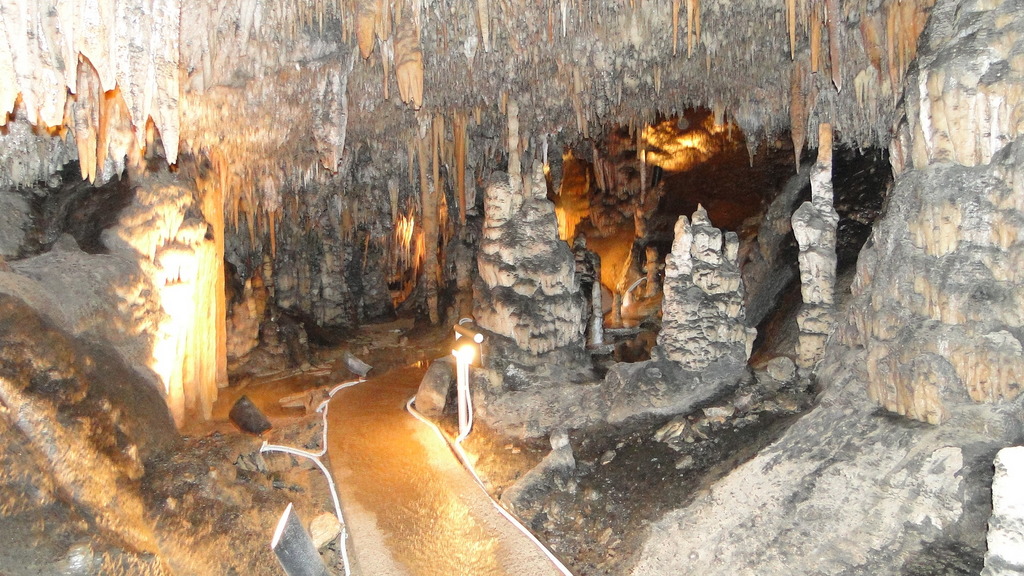 Wombeyan Caves Private Tour