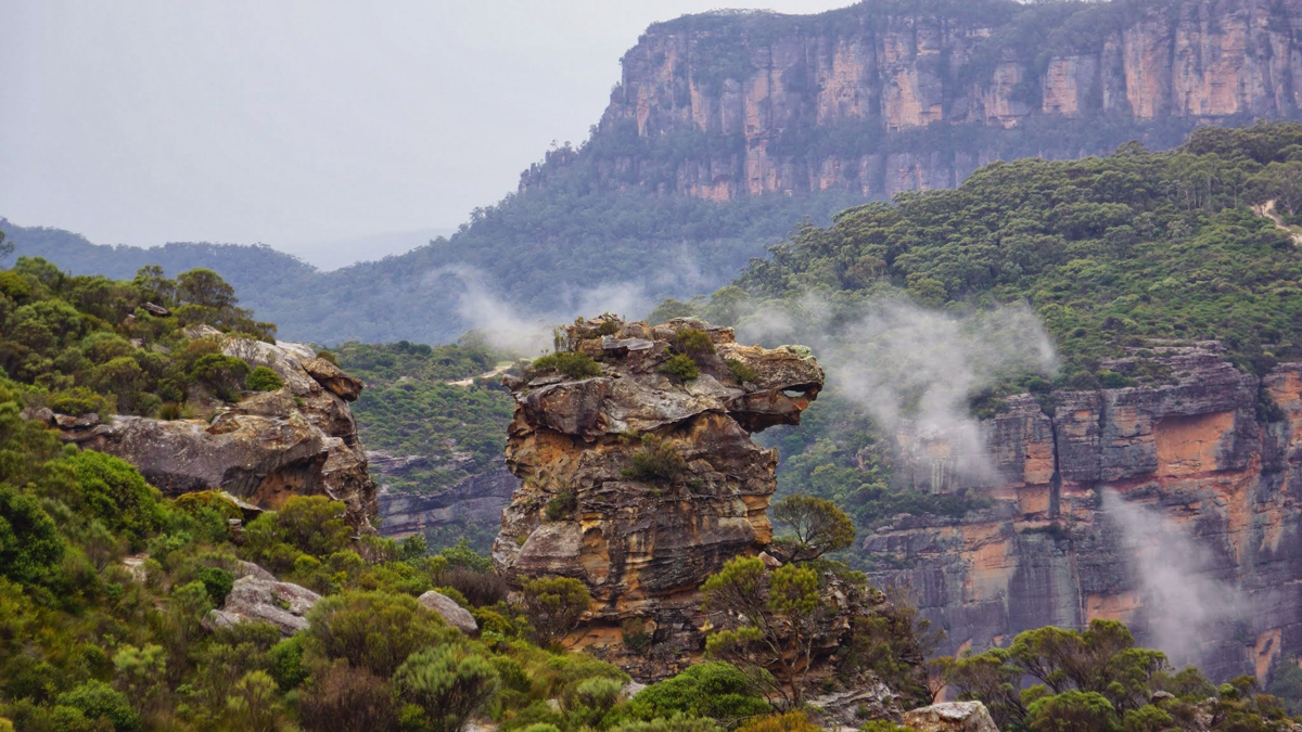 Blue Mountains and Sydney Private Tour