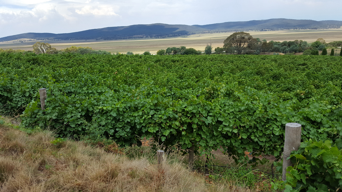 Canberra Private Tour