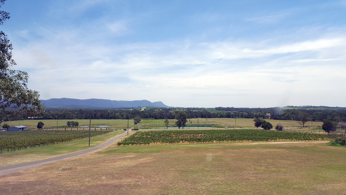 Hunter Valley Private Tour