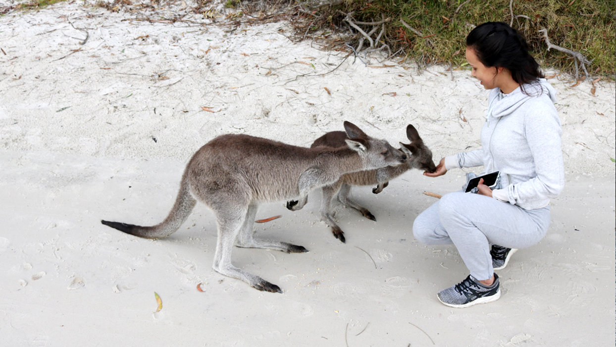 Jervis Bay Private Tour