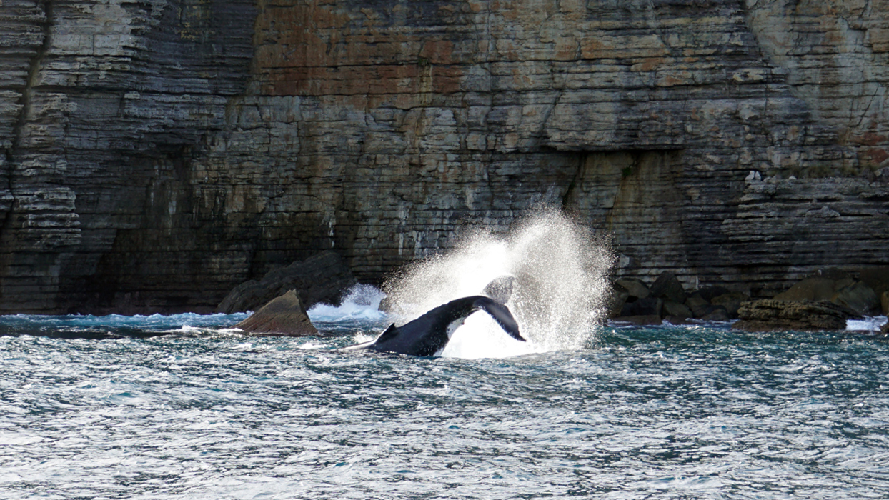 Jervis Bay Private Tour